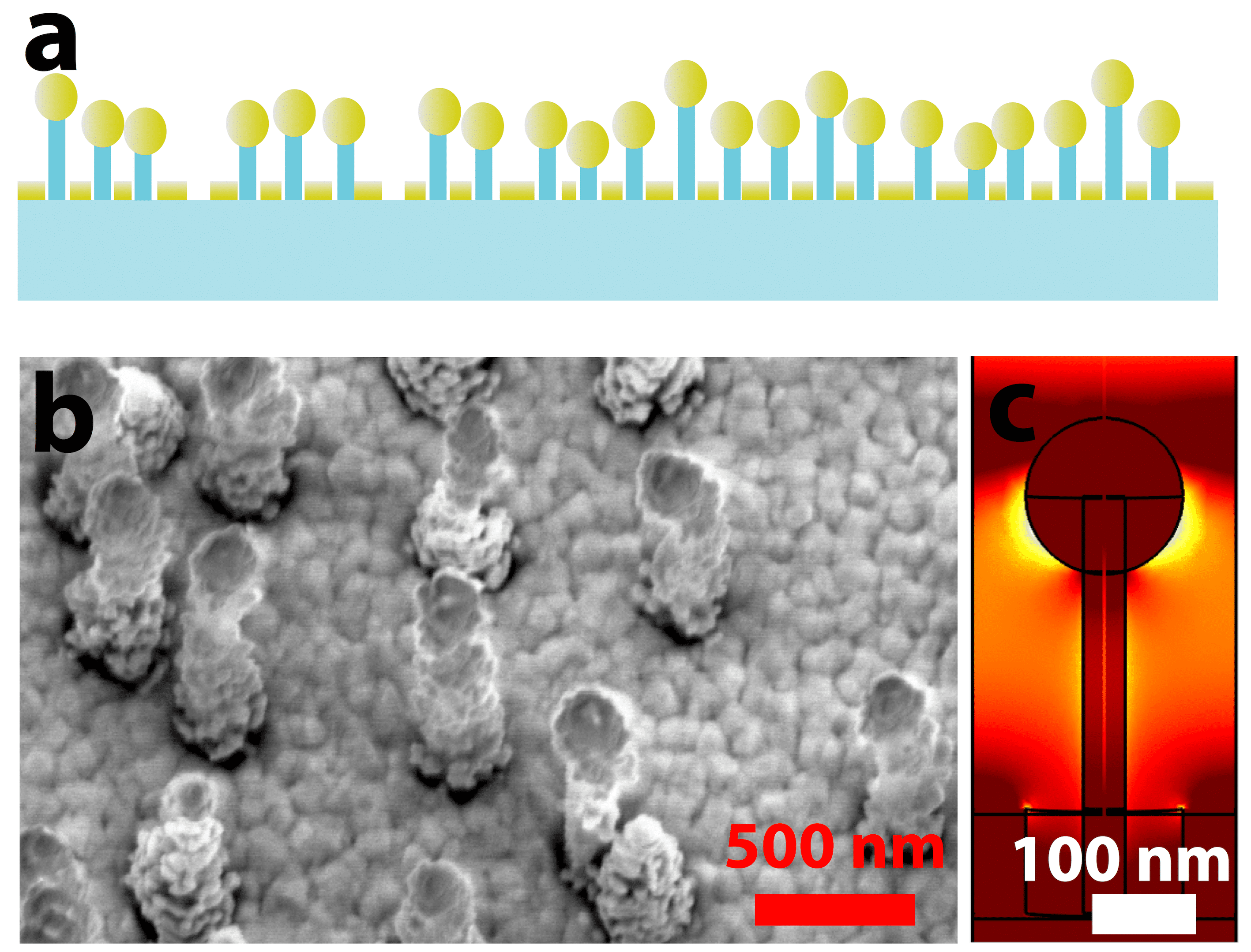 Figure 1. a) Sketch of metal capped fused silica nano pillars. b) SEM image of the structures. c) Simulation showing the electric field distribution